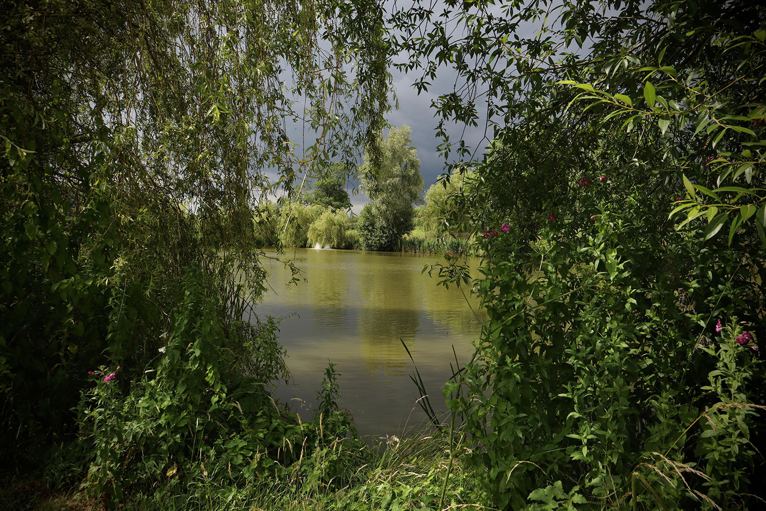 SONIK-CORPORATE-WEBSITE-SCENIC-2