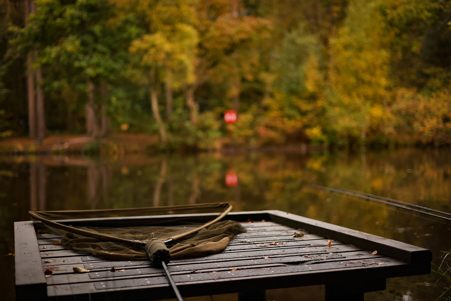 SONIK-CORPORATE-WEBSITE-SCENIC-3